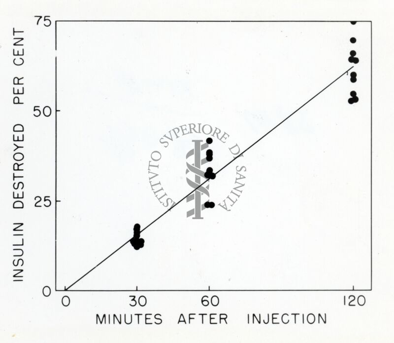 Grafico sull'insulina