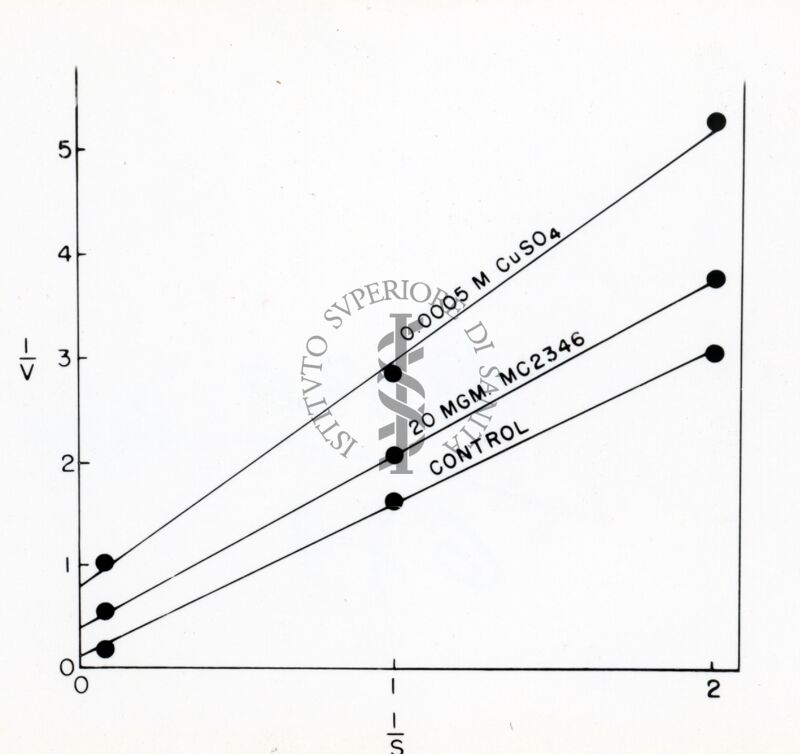 Grafico