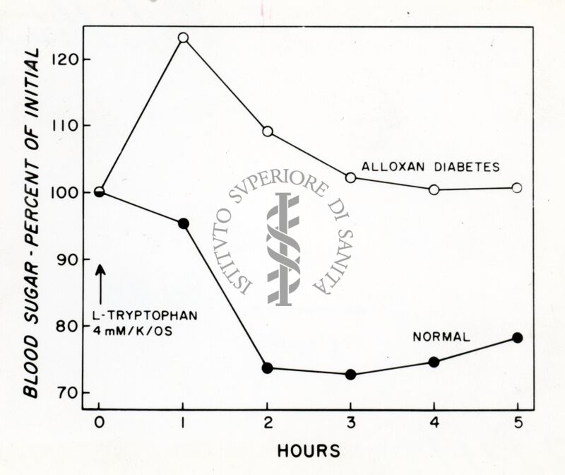 Grafico sulla presenza di zucchero nel sangue