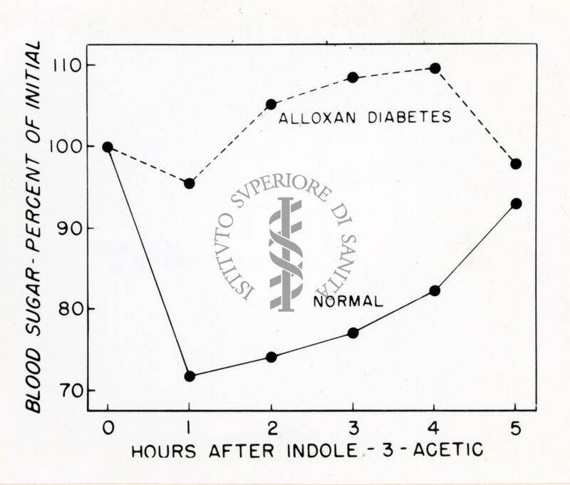 Grafico sulla presenza di zucchero nel sangue