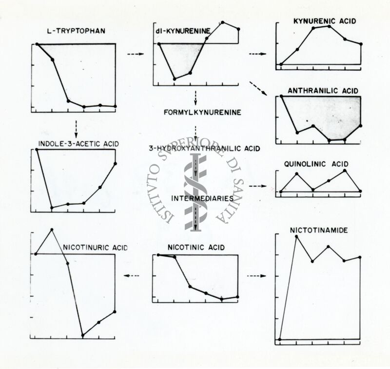 Diagramma composto da vari grafici