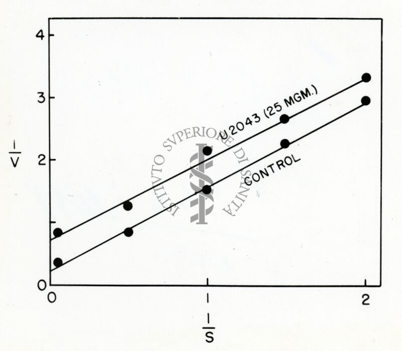 Grafico