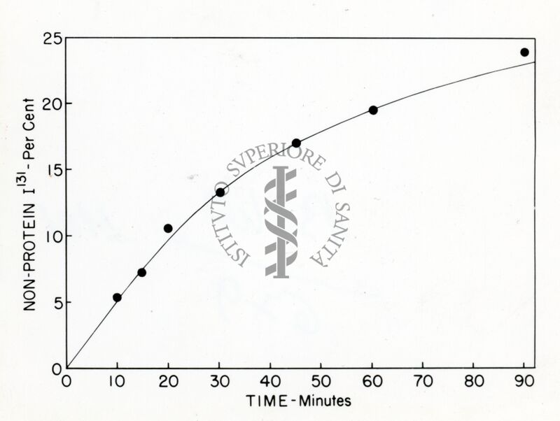 Grafico