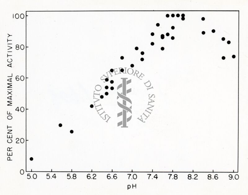 Grafico