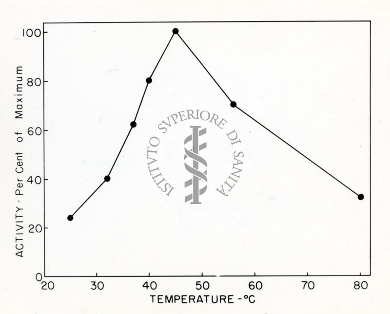 Grafico