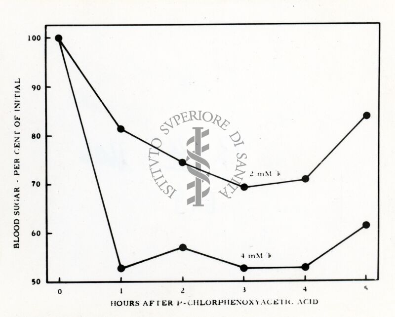 Grafico sulla presenza di zucchero nel sangue