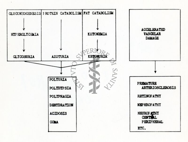 Diagrammi