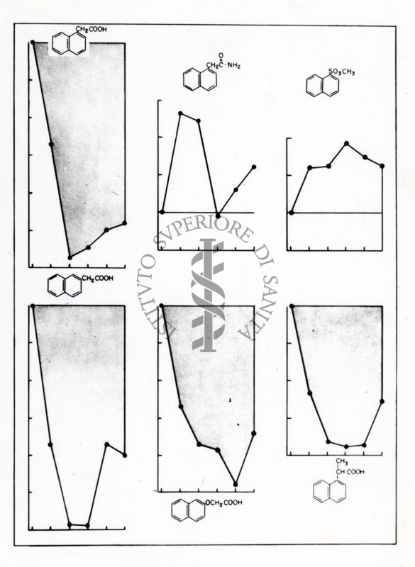 Immagine in cui sono presenti 6 grafici, ognuno dei quali presenta una formula chimica