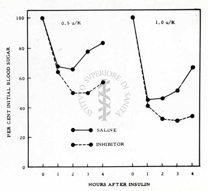 Grafico su presenza di zucchero nel sangue e insulina