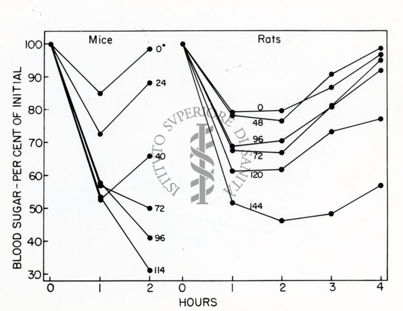 Grafico sulla presenza di zucchero nel sangue