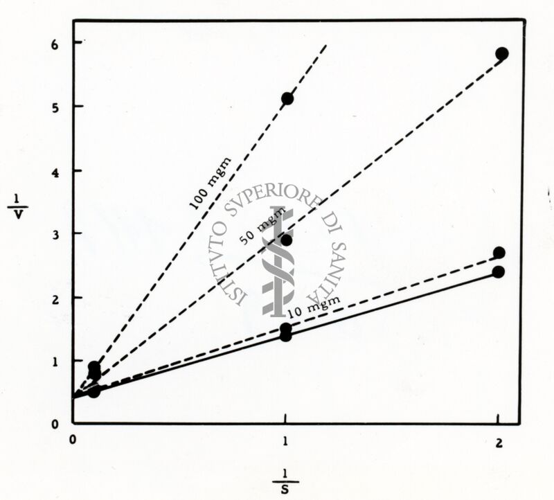 Grafico