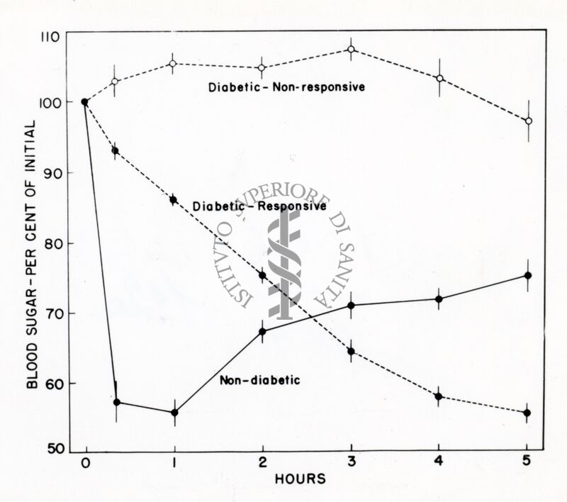 Grafico sulla presenza di zucchero nel sangue