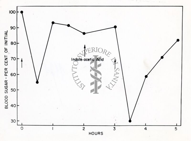 Grafico sulla presenza di zucchero nel sangue