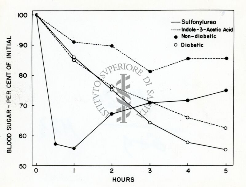 Grafico sulla presenza di zucchero nel sangue