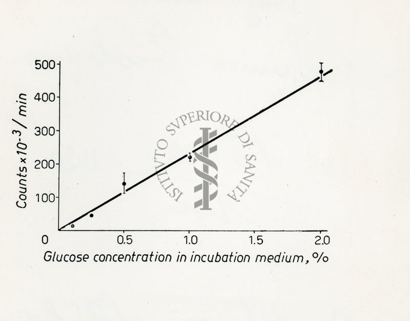 Metabolismo intermedio dei carboidrati