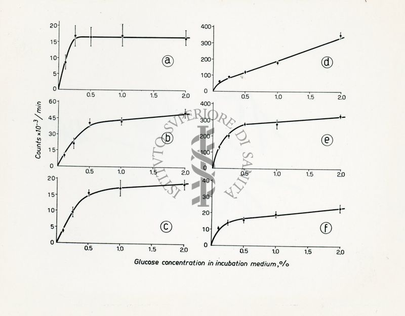 Metabolismo intermedio dei carboidrati