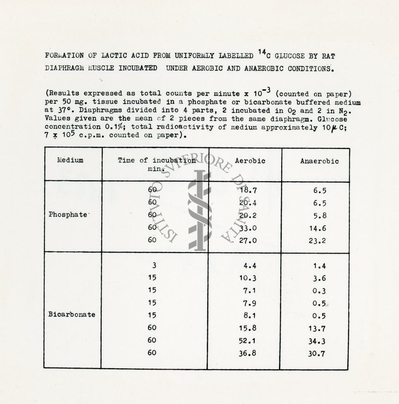 Metabolismo intermedio dei carboidrati