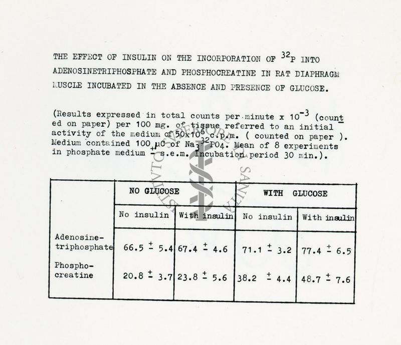 Metabolismo intermedio dei carboidrati