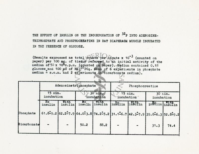 Metabolismo intermedio dei carboidrati