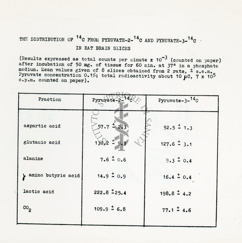 Metabolismo intermedio dei carboidrati