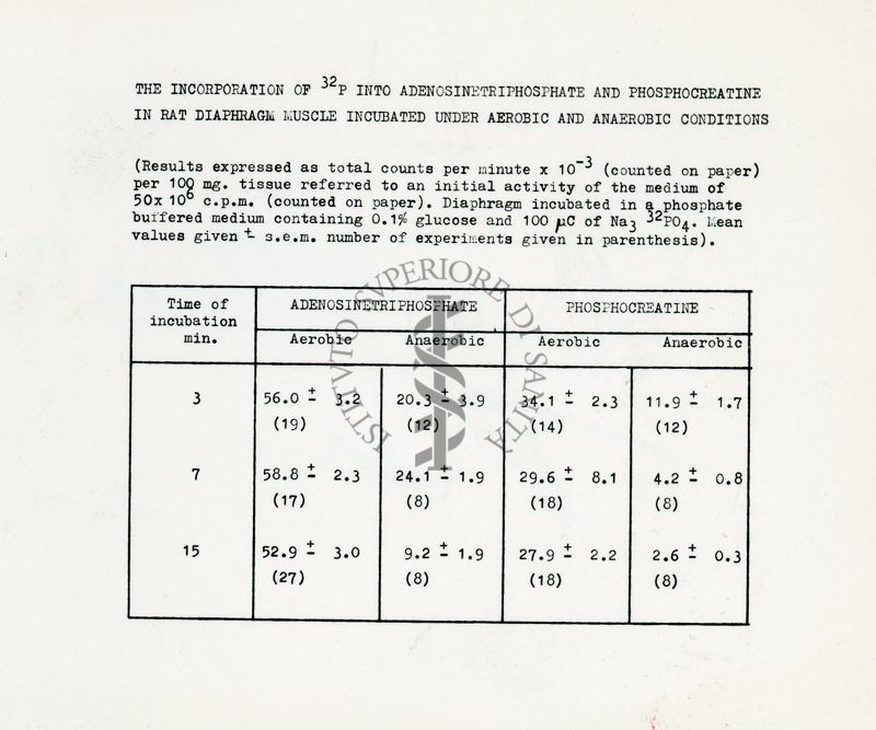 Metabolismo intermedio dei carboidrati