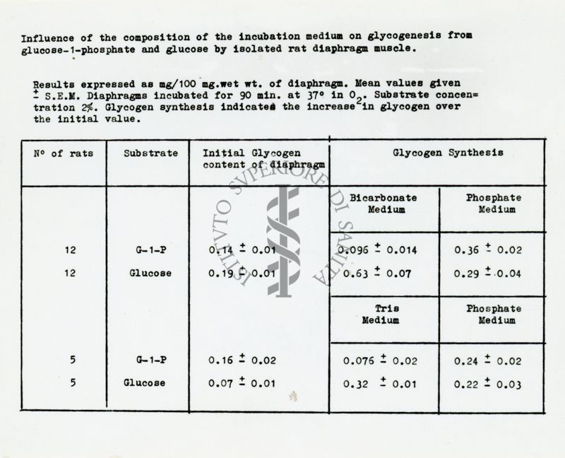 Riproduzione da copia dattilografica