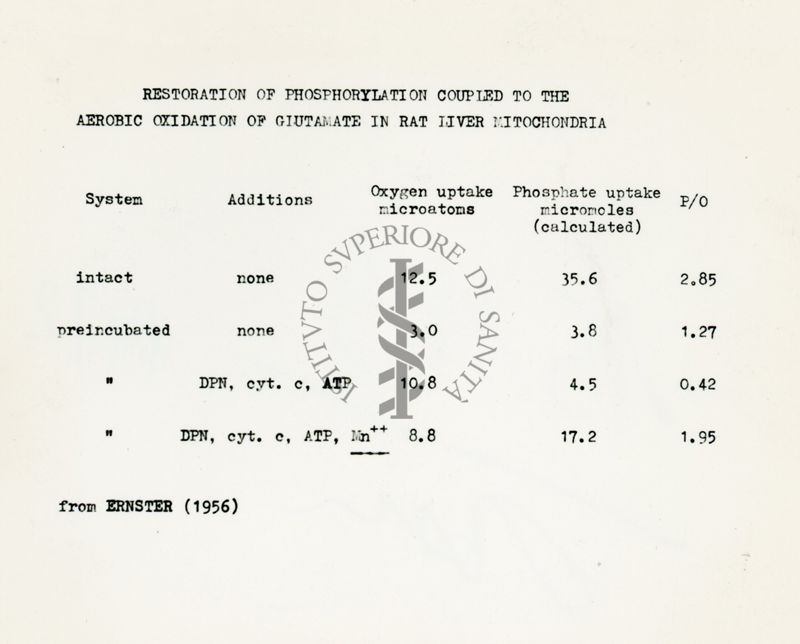 Riattivazione della MnCl2 in Penicillium