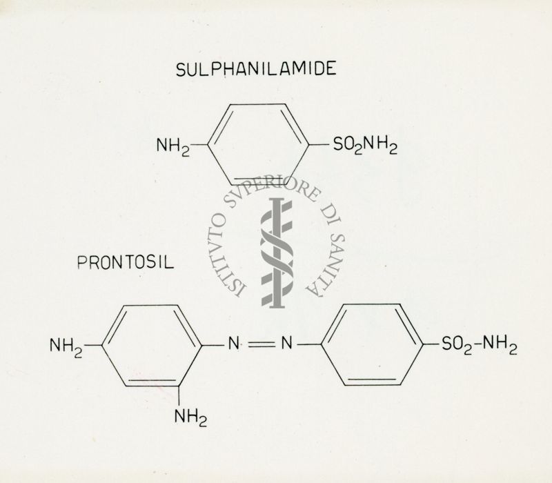 Riproduzione da disegno