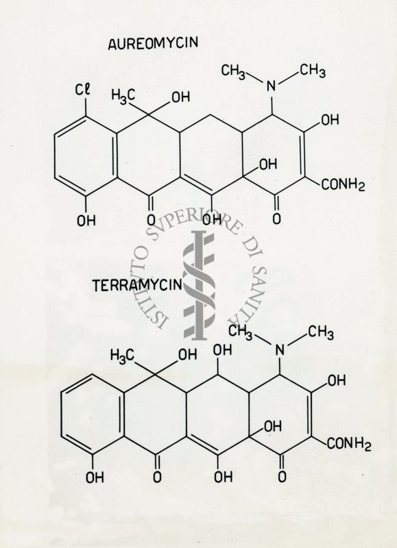 Riproduzione da disegno