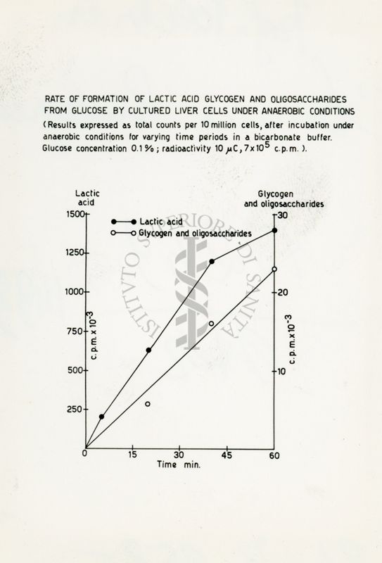 Metabolismo del glucosio 14 C o piruvato nel cervello di piccione