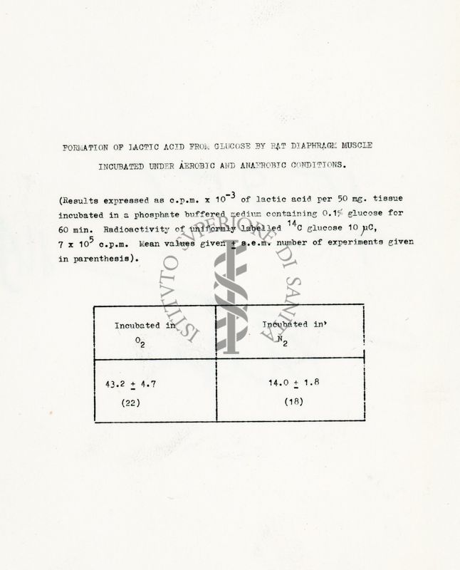 Metabolismo del glucosio 14 C nel diaframma di ratto