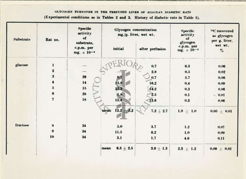 Sintesi di glicogeno nel fegato