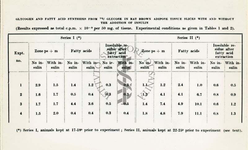 Metabolismo del glucosio nel tessuto adiposo bruno