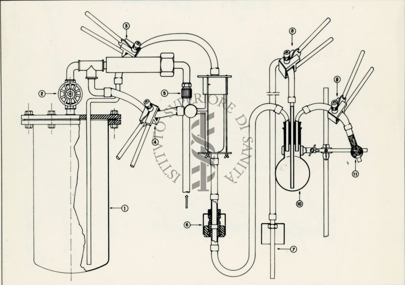 Disegno schematico riguardante gli esperimenti sulla produzione della Penicillina