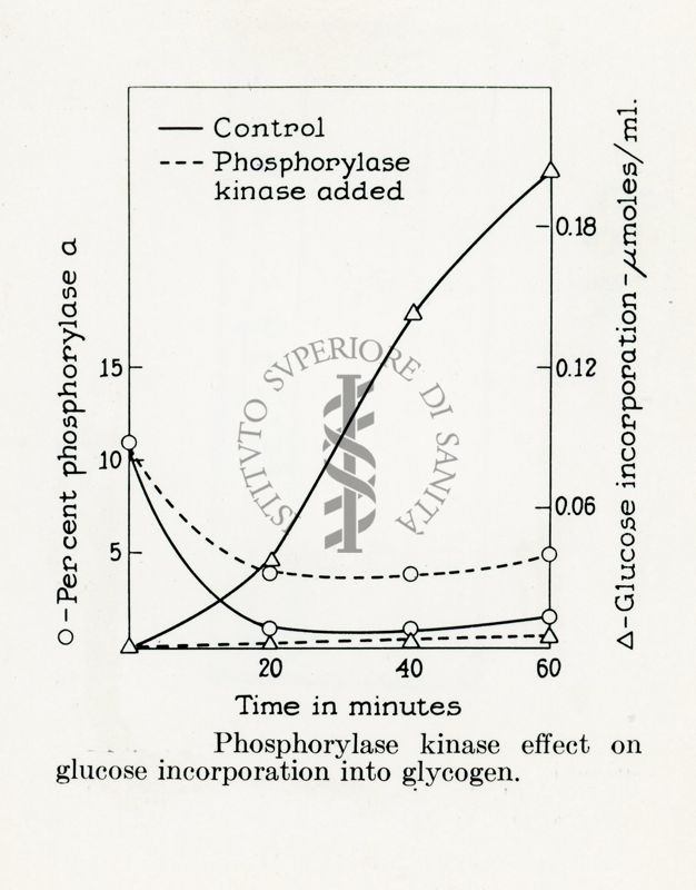 Diagramma