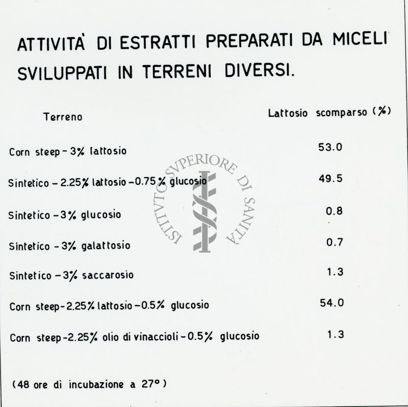 Riproduzione da disegno