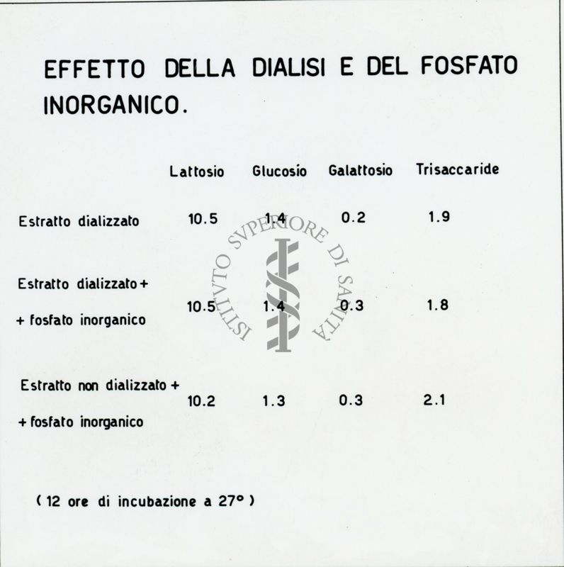 Riproduzione da disegno