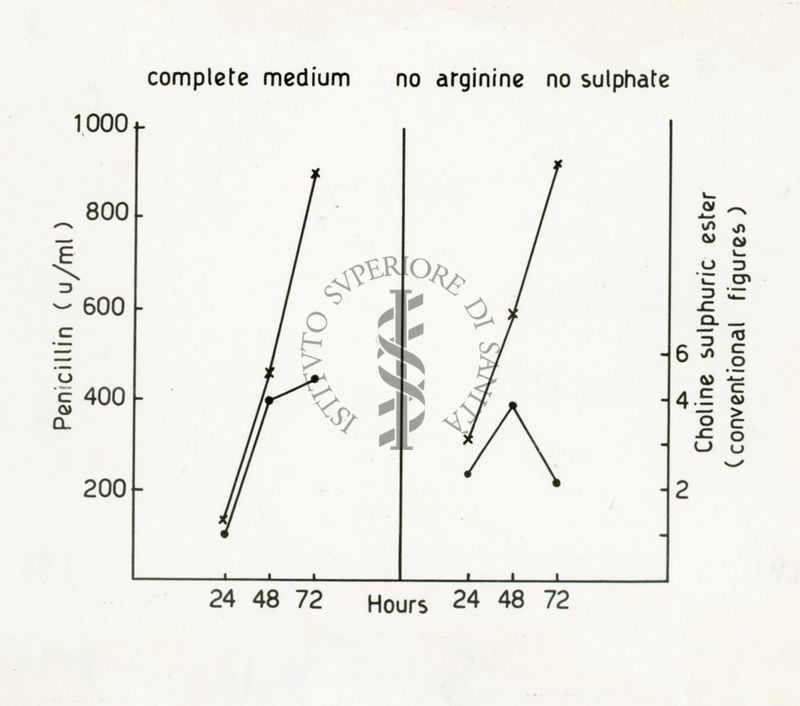 Distribuzione del solfato di Colina nei funghi