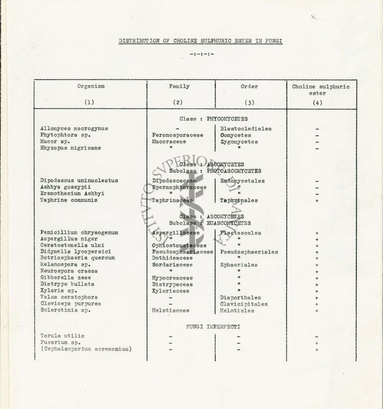 Distribuzione del solfato di Colina nei funghi