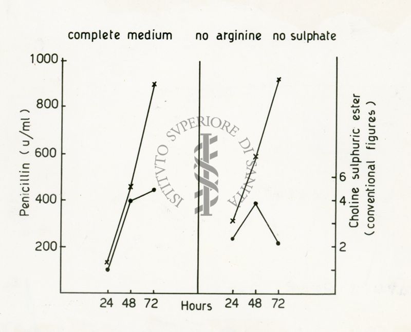 Oxazoline - Nota IV