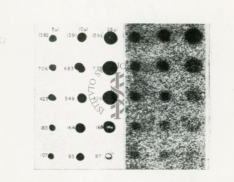 Radio-cromatografia quantitativa