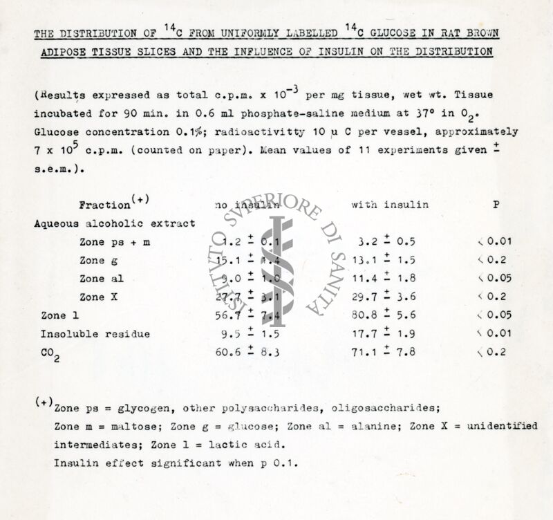 Tabelle riguardante il glucosio nel tessuto adiposo del ratto bruno e insulina
