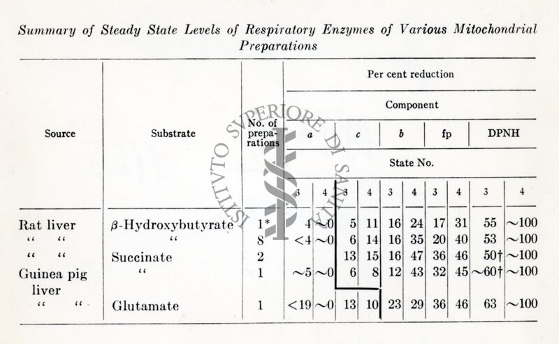 Summary of Steady State Levels of Respiratory Enzymes of Various Mitochondrial Preparations