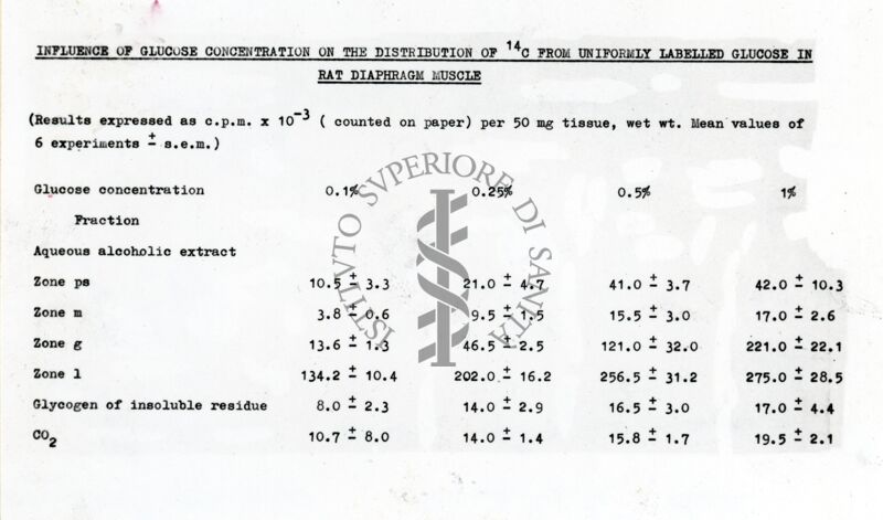 Concentrazioni variabili del glucosio nel diaframma di ratto