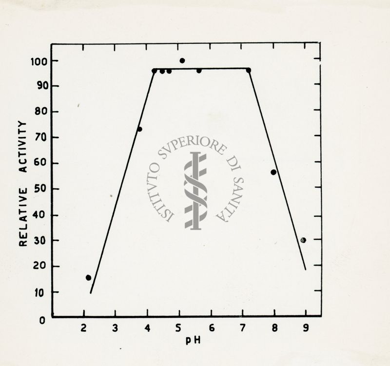 Riproduzione da disegno