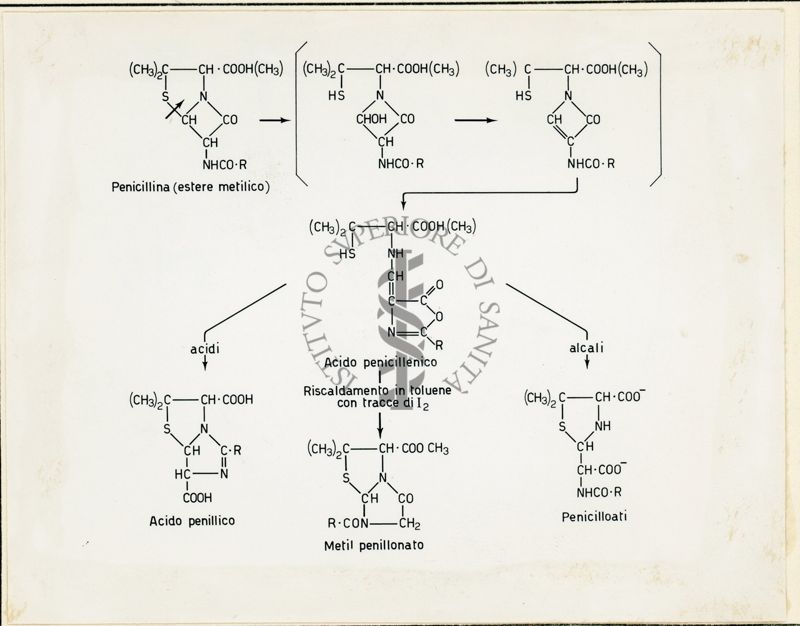 Idrolisi ed isomerizzazione della Benzil -Penicillina