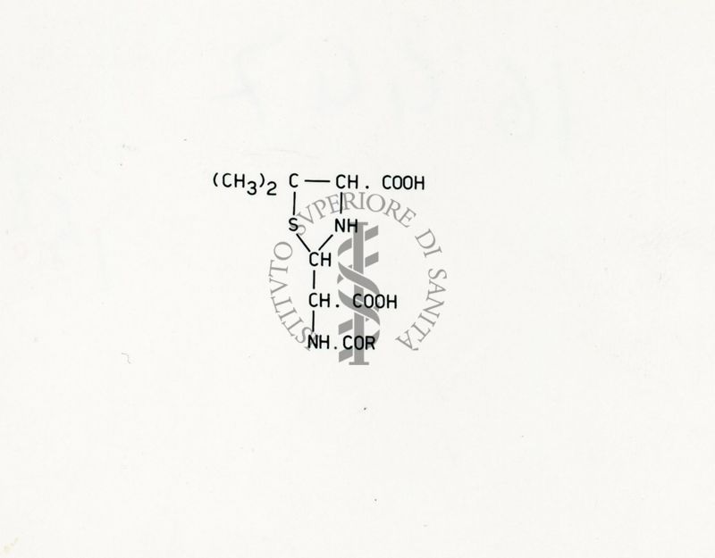 Penicillina - Acido penicilloico