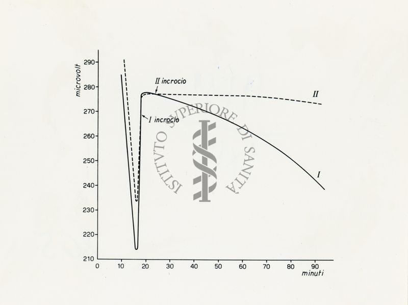 Grafico