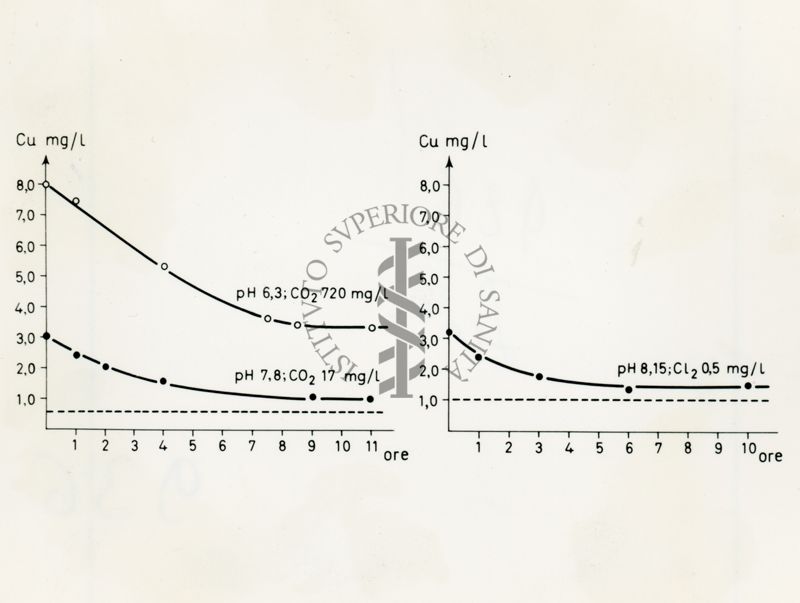 Immagine di un due grafici di elementi chimici affiancati. Sotto l'asse delle ascisse di entrambi è scritto: ore