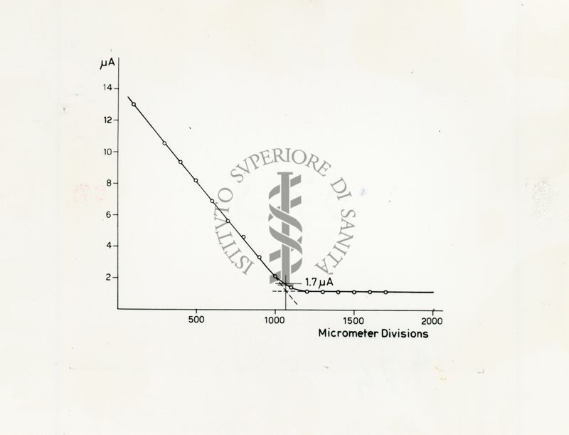 Grafico